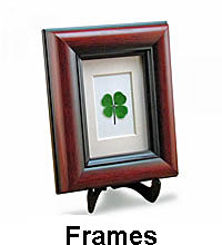 frames